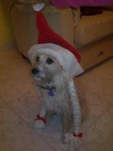 DARLING OS DESEA FELICES FIESTAS.jpg